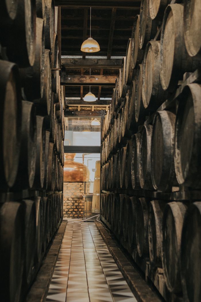A collection of aging oak barrels in a rustic wine cellar, perfect for vintner narratives.